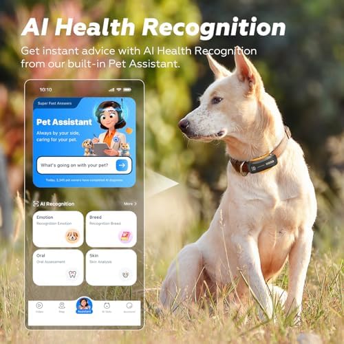 DBDD AI GPS Tracker for Dogs (30lbs+) - Real-Time Location & AI Health Assistant, Electronic Fence Collar for Escape Artists, Waterproof Dog GPS Tracker for Medium Large Dogs, iOS Android