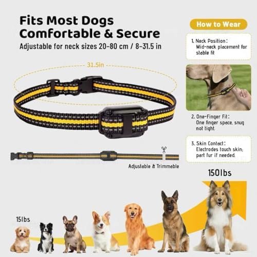 Waterproof Dog Training Collar with Remote, 3 Modes, 3300FT