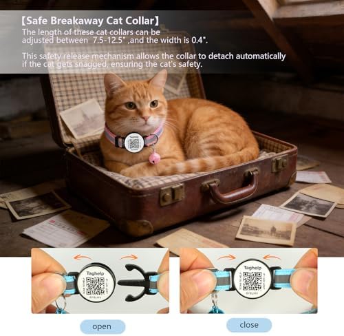 Reflective Kitten Collars with Bell,Cat Collar Breakaway with QR Code Name Tag, Cat ID Tag Personalized, Ultra-Durable, Adjustable, Fits Most Girl Boy Small Large Cats (Pink Reflective)