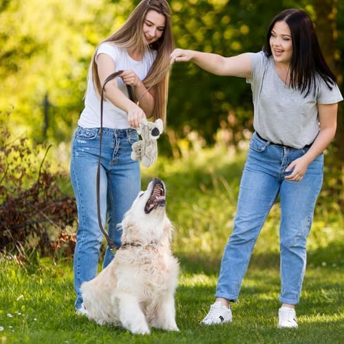 HDSMNGY Dog Toys for Aggressive Chewers, Durable Plush Rope Dog Toy with Squeaky, Interactive Tug Toy for Small Medium Dogs, Teeth Cleaning & Boredom Relief