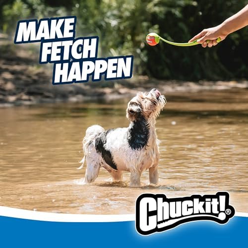 Chuckit! Sport 14S Manual Ball Launcher for Small Dogs
