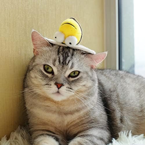 Gigwi Interactive Squeaking Cat Toy，Chirpy Bee Sound Toy for Cats，Melody Chaser Play Squeak Kitten Toys for Boredom
