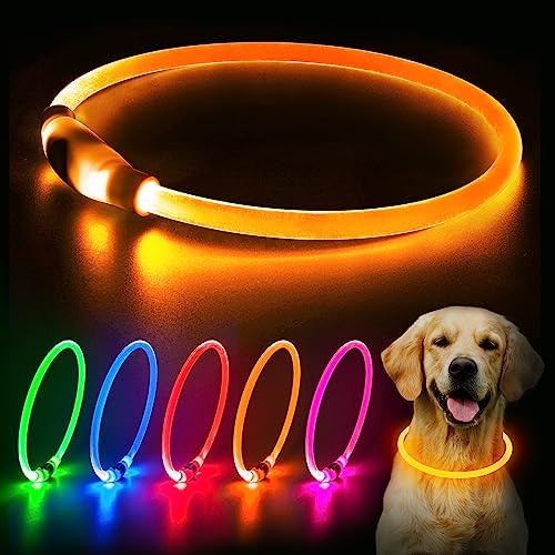Flashseen LED Dog Collar, USB Rechargeable Glow Lighted up Collar, Orange