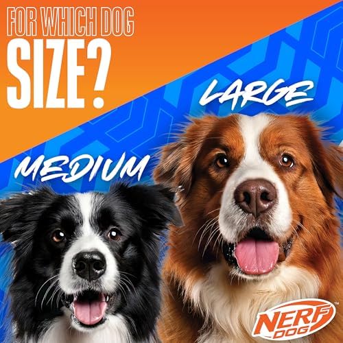 Nerf Dog 16.5in Nylon Ultraplush Crinkle Wing Launching Duck Dog Toy - Green/Light Blue