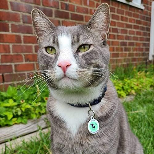 QR Code Dog Tag Personalized Pet Id Silent Cat Tags Engraved Name Plate with Online Profile («Miss Meow»)