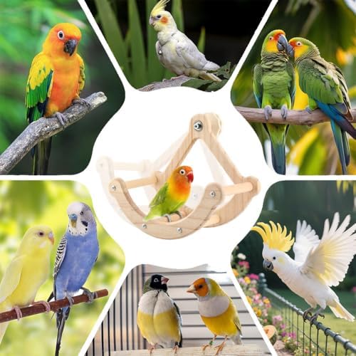 Bird Perch Toy, Wooden Interactive Rocking Perch with Exercise Wheel, Parakeet Enrichment Toy, Cockatiel Intelligence Toy for Parrots, Bird Cage Accessories for Budgies and Conures