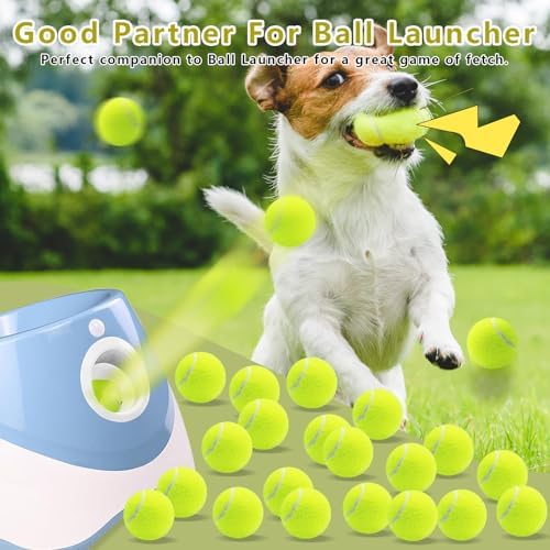 Magicorange Dog Tennis Balls, 40 Pack 2.5 inch Squeaky Tennis Balls