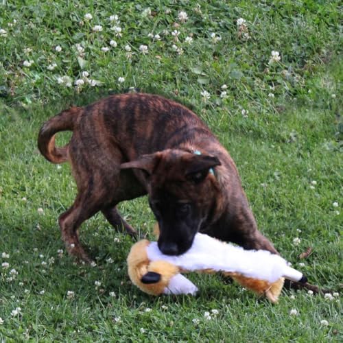 SPOT Skinneeez Extreme Quilted Fox - Durable, Stuffing Free Dog Toy with 4 Layers of Diamond Stitched Fabric & 2 Squeakers- Ideal for Medium and Large Aggressive Puppies and Dogs- 23in