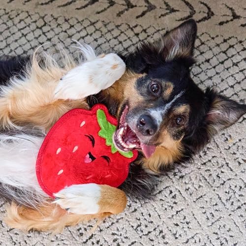 Outward Hound Tough Skinz Durable Chew Squeaky Dog Toy, Strawberry, 7.9"