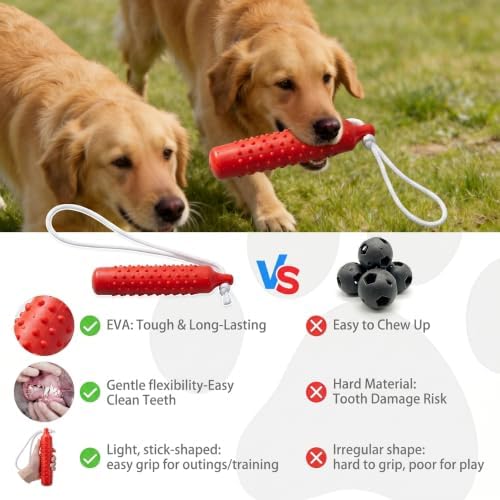 Floating Dog Water Pool Toys,Outdoor Interactive Toy 10.6 Inch EVA