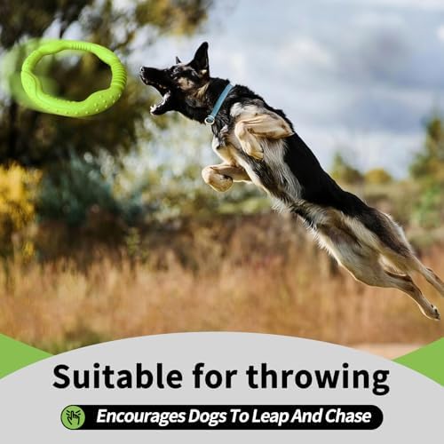 LaRoo Dog Toys for Medium/Large Dogs, Floatable Dog Flying Discs 3 Sizes Pool Toy, Interactive and Tug of War Ring Toy, Funny Fetch Teething Toys (Green, 11.8“)