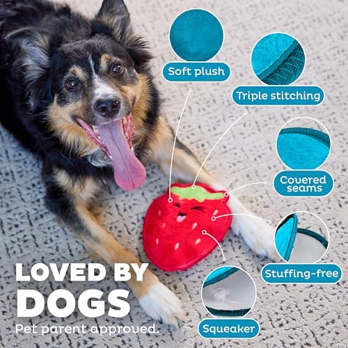 Outward Hound Tough Skinz Durable Chew Squeaky Dog Toy, Strawberry, 7.9"
