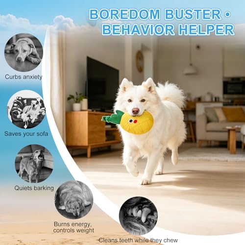 BEAUTYZOO Floating Dog Pool Toys 2 Pack,Squeaky Water Fetch Toys for Summer