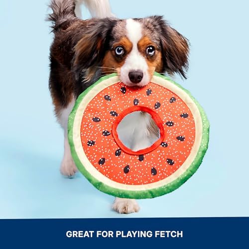 BarkBox Slobbermelon Fetch Flying Disc Dog Toy - for Dogs