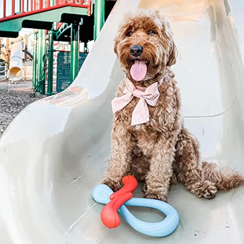 Nylabone Springa and Tuug Interactive Dog Toys Bundle for Dog Enrichment – Lightweight Intriguing Dog Tug Toys for Creative Play & Dog Exercise Springa & Tuug, Multi-Color, (ND1098)