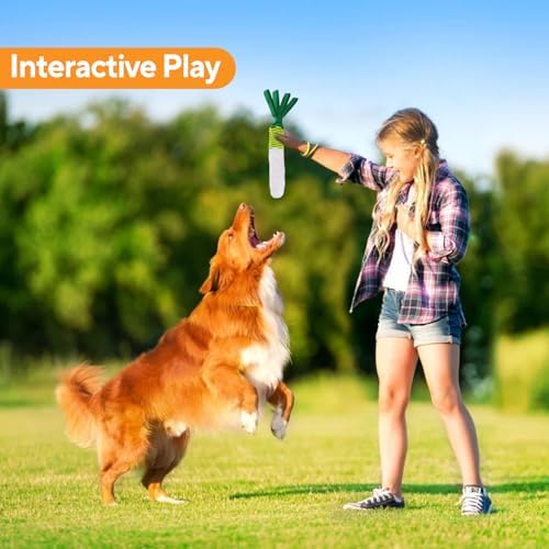 LIFLIX Dog Rope Toy 2PCS, Tug of War Dog Toy, Cute Carrot Dog Toy with Crinkle Paper Tags