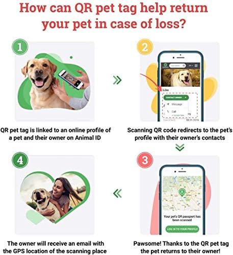 Pet ID Tag for Dog Cat with QR Passport Global Search System of Lost Pets - Digital ID Dog Tag - Donuts