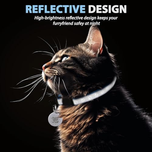 Breakaway Reflective Cat Collar with QR Name Tag & Bell (Sky Blue)
