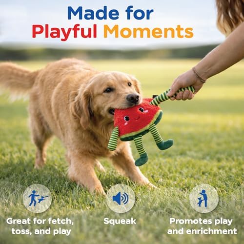 Bow Wow Pet Squeaky Plush Dog Toy with Crinkle, Soft Durable Stuffed Dog Toy for Small & Medium Dogs, Interactive Fetch, Tug & Chew Toy, Engaging Pet Toy for Play, Enrichment & Comfort