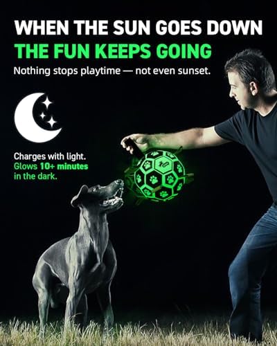 QDAN Glow in The Dark Dog Balls, Soccer Balls for Dogs with Straps, 6 Inch