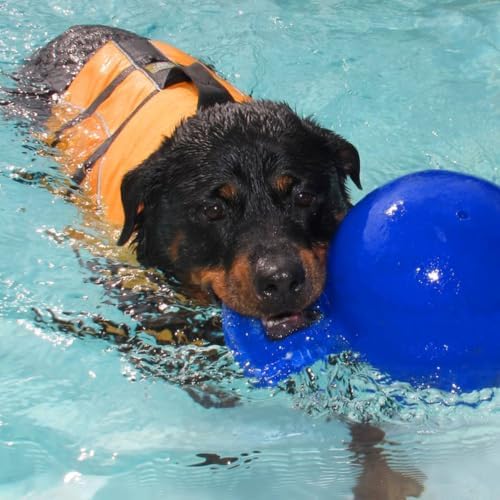 Jolly Pets Tug-n-Toss - Heavy Duty Chew Ball w/ Handle (Blue, 6") for Medium Breeds