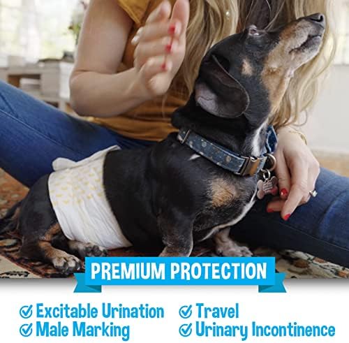 Bodhi Dog Disposable Male Dog Diapers - Super Absorbent, Leak-Proof Pee Wraps - Adjustable Fit, Comfortable Design, Advanced Moisture Control, and Wetness Indicator - Small (20 Count) (Pack of 3)