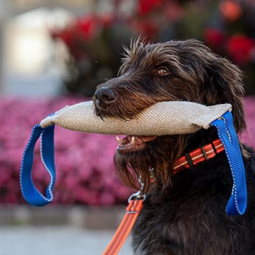 Herm Sprenger - Jute Dog Tug Toy - Jute Dog Training Tool with 2 Handles for Training, Interactive Play, Tough Tug of War, for Small Medium Large Breeds (Medium)