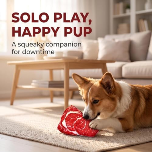 Realistic Food Steak Plush Dog Squeaky Toy, Soft Food Shape Pet Chew Toy for Small Medium Dogs and Non-Aggressive Chewers, Puppy Teeth Clean Chew Toys