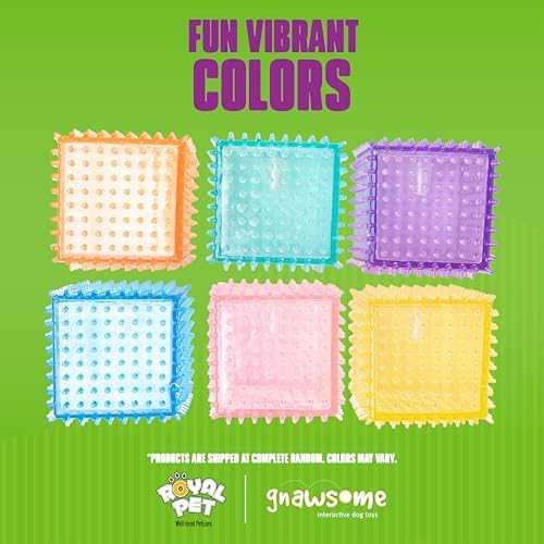 Gnawsome Dog Toys - 3.5" Squeaker Cube - Medium - Dental & Gum Wellness - Stimulating Fun - Hidden Squeaker - Durable for Heavy Chewers - 100% BPA-Free - Assorted Colors (Pack of 3)