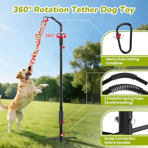 360° Rotation Tether Tug Outdoor Dog Toy, Exercise Tug of War Dog Toy