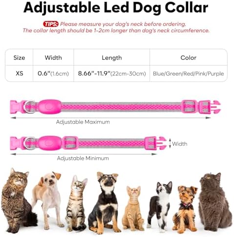Flashseen LED Dog Collar, Light Up Dog Collar USB Rechargeable, Pink, XS