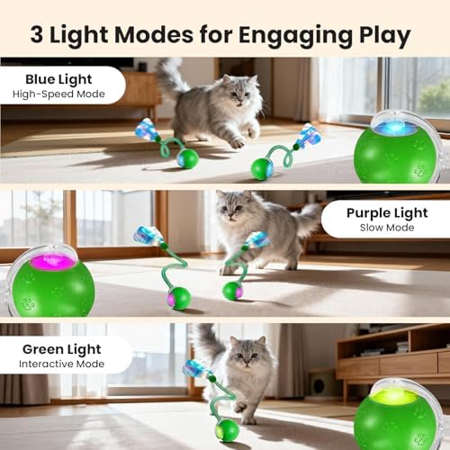 Rocfish Durable Interactive Cat Toys for Indoor Cats (Green, 03)