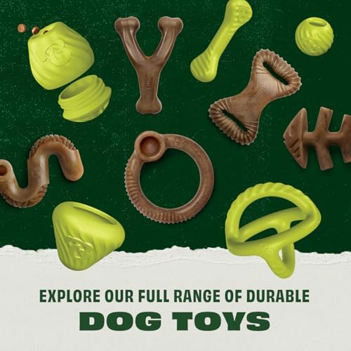 Benebone Natural Rubber Dog Ball, 1 Pack | Natural Rubber, Extra Bouncy, Tooth-Friendly, Great for Fetch, Boredom Buster, Dishwasher Safe, Long-Lasting