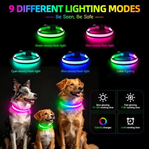 Flashseen Multicolor LED Light Up Dog Collar, RGB 9-Mode, USB Rechargable