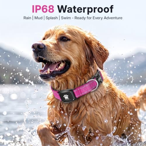 GPS Dog Collar with Tracker, Waterproof, No Monthly Fee, Hot Pink, M | Works with Apple Find My, iOS Only, MFi Certified, No SIM Card, for Medium Dogs, Reflective Padded Nylon, Neck 14.5-19.5 in