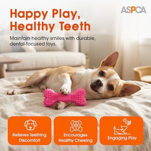 ASPCA 2-Pack Spiky TPR Puppy Teether Bones – Vanilla-Scented Teething Toys for Gum Relief, Gentle Chewing & Interactive Play