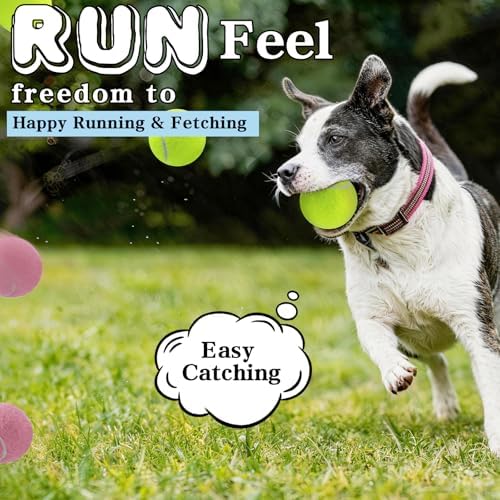 Magicorange Tennis Balls for Dogs,Colorful Easy Catching Dog Balls,4 Pack