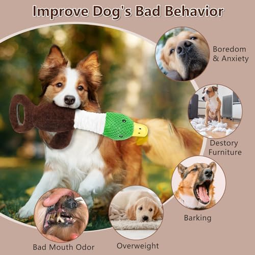 Drmstow Plush Dog Toys for Large Dogs, Duck Stuffed Squeaky Dog Chew Toy with Crinkle Paper, Interactive Pull Puppy Toys - Tug of War Dog Toys for Big Medium Samll Dog