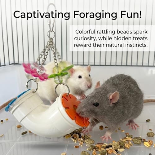 2 Pack Mouse Rat Enrichment Toys for Pet Mice -Treat Dispenser Rats Foraging Toy, Hanging Foraging Dispenser for Rats, Mice, Guinea Pig Small Pet