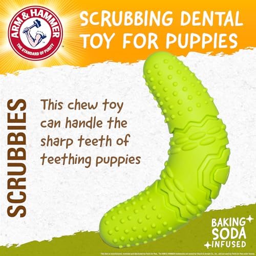 Arm & Hammer Scrubbies Boomerang Dental Chew Toy, Puppy, Large, 7 in