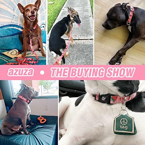 azuza Fruit Dog Collar and Leash Set, Collar Nylon and Matching Leash, Great Option for Small Medium Large Dogs, Pink, S (Neck: 11"-16")