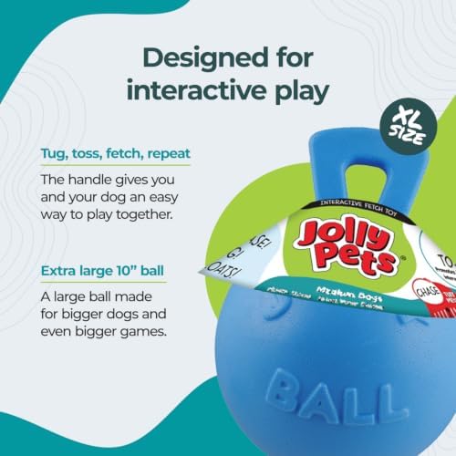 Jolly Pets Tug-n-Toss Heavy Duty Dog Toy Ball with Handle, 10 Inches/X-Large, Blueberry for All Breed Sizes