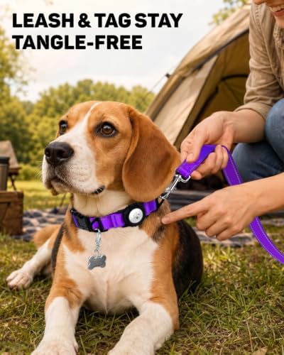 Padded Dog Collar with Waterproof Holder Compatible with Airtag