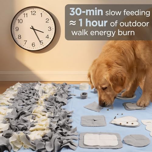 Snuffle Mat for Dogs: Slow Food Interactive Experience