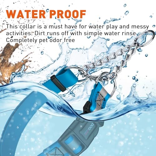 Dogline Reflective Martingale Collar for Dogs with Quick Release Buckle – Biothane Dog Collar with Herm Sprenger Assembly Chain – Waterproof No Pull Dog Collar, L 14”-20”, Cerulean Blue
