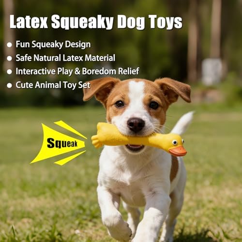 SCHITEC Latex Squeaky Dog Toys, Animal Toy Set for Small Puppies & Medium Breed Dogs, Interactive Puppy Play for Boredom Relief