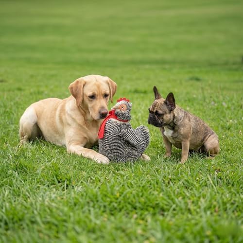 Fuzzl Plush Super Soft Big Cheeky Chuck Chicken Dog Toy & Comforter – Cuddly Plush with Squeaker, Gentle Dog Toy for Puppies & Small to Medium Dogs