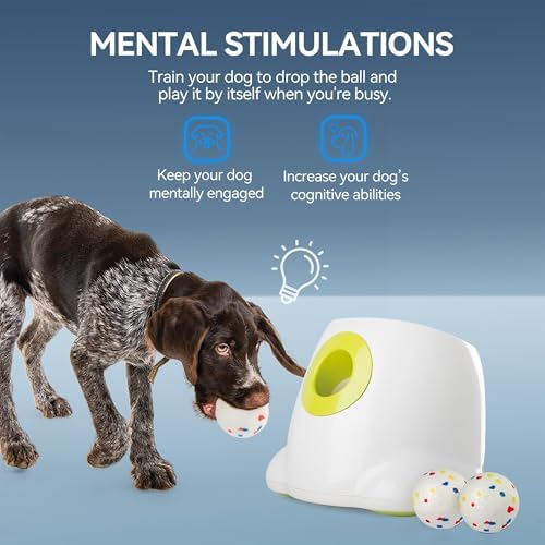 AFP Automatic Dog Ball Launcher with 2.5in ETPU Ball for Medium-Large Dogs