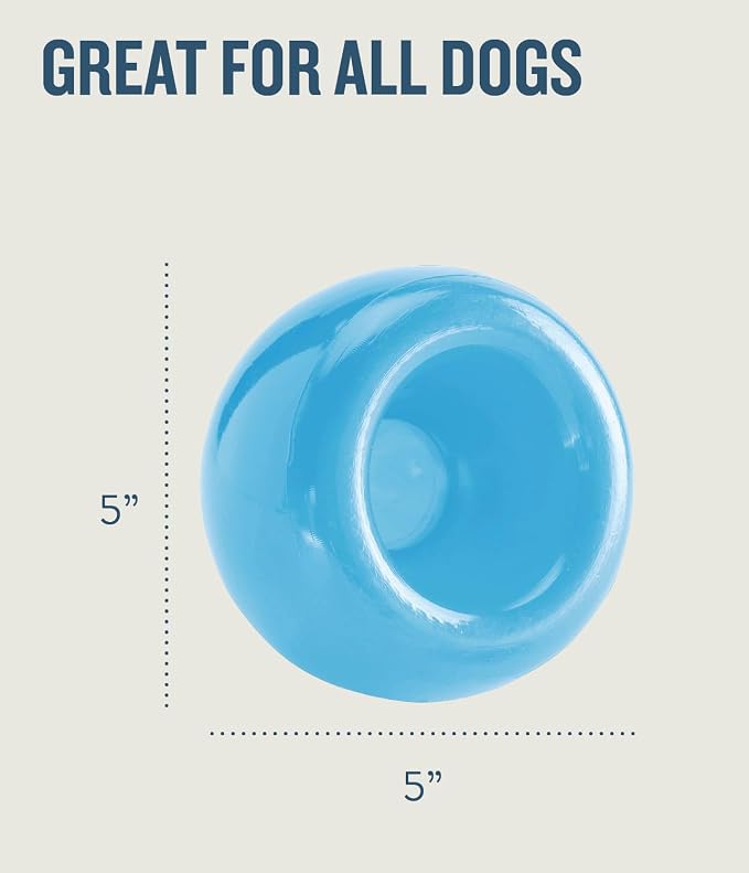 Outward Hound Snoop Interactive Treat Dispensing Dog Toy, Blue, 5" | Rolls & Bounces, Treat Stuffer, Puzzle Ball & Slow Feeder, Enrichment, Mint Scented, Easy Clean, No BPA, Medium to Large Dogs