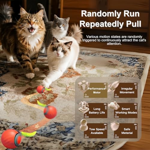 Interactive Cat Ball for Indoor Cats - Dual-Speed Automatic Rolling Ball Toy with 90Min Run Time, Plush + Feather Tails, Energetic Cat Chase Exercise, Blue/Orange, 1PC